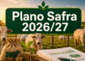 Plano Safra 2026/27 amplia oportunidades de crédito para a pecuária bovina