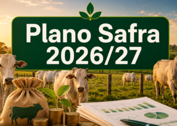 Plano Safra 2026/27 amplia oportunidades de crédito para a pecuária bovina