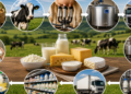 Como funciona a cadeia produtiva do Leite? Guia completo do campo ao consumidor